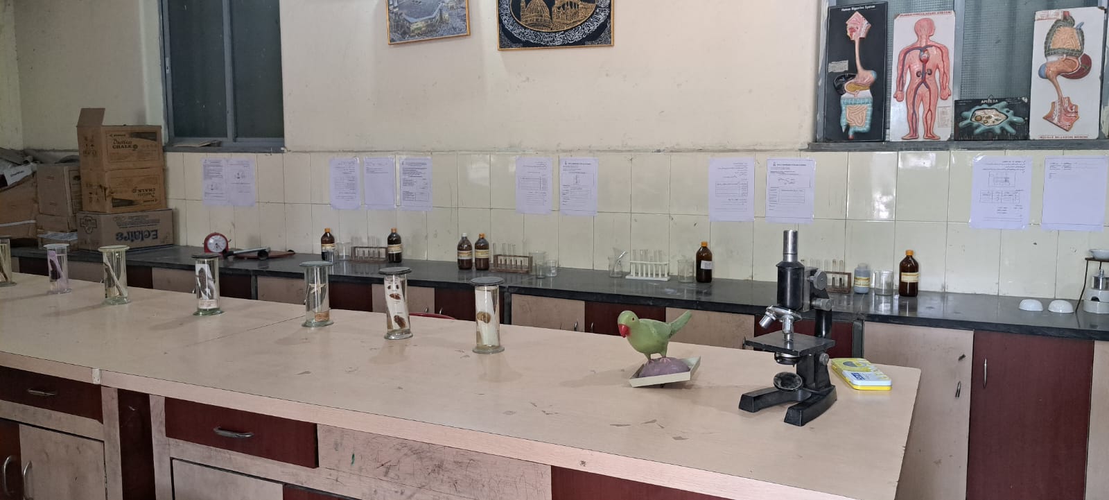Science experiment in lab